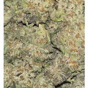 APPLE FRITTER SMALLS AAAA 100OZ 2FOR180  4FOR340