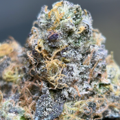 (28G) - Rare Darkness 😮‍💨🌚Indica | 2 Oz Left thumbnail 2