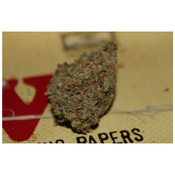 Wedding Gelato  thumbnail 4