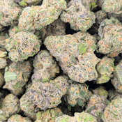 !VELVET GAS FACE 😵‍💫⛽ AAAAA+ **$125oz** thumbnail 2
