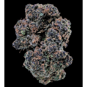 BC Apple Smacks – 14G 90$ – Sativa Dominant