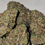 Quads A Purple God Kush ☂️💜☂️💜☂️💜☂️💜
