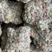 (28G) - Phoenix Haze 🐦‍🔥 Sativa - 2 Oz Left thumbnail 3