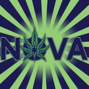 Nova Cannabis of Marietta