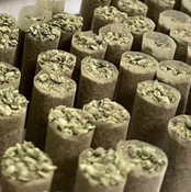  Pre-Rolls Joints (King Size) - 10 for $40 thumbnail 4