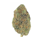 (B.C) Purple Urkle