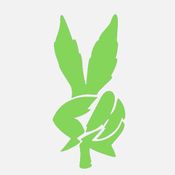 WOODSTOCK CANNABIS CO