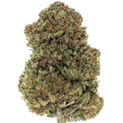 $175 FOR QP - Death Star 