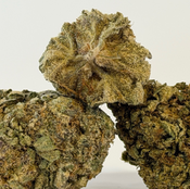 Blue Tuna Fin | Value Buds | $50 for 14 grams | $90 an ounce | $130 for 2 ounces | $225 for 4 ounces | $375 for 8 ounces | $650 a pound | thumbnail 3