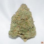 Bruce Banner Sativa Dominant Hybrid AAAA+