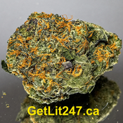 "Premium" Alaskan Thunder- Hybrid 60% Indica / 40% Sativa - THC 31-34%