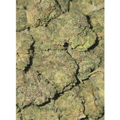 CANDY PAINT 70OZ 2FOR130 4FOR250 thumbnail 2