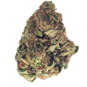 BC (AAA) KING KUSH  thumbnail 2