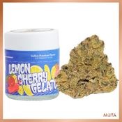 Lemon Cherry Gelato (3.5gs) INDICA Indoor [MOTA]
