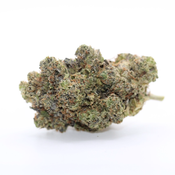 Pink Predator 🔥 Premium AAAA+ ⛽️