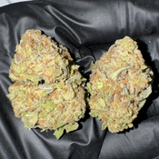 Blueberry King • Hybrid • 23–27% THC • 1 OZ $50 • 2 OZ $80 • 3 OZ $120 • 4 OZ $145 thumbnail 3