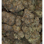 Cotton Candy Kush | INDICA | 26-30% THC | $80 an oz | $120 for 2oz |  thumbnail 2