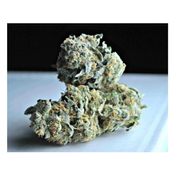Blue Rhino AA+++