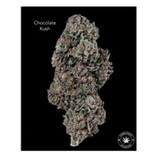AA - CHOCOLATE KUSH