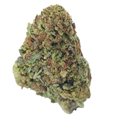 BC (AAA) PURPLE KUSH 