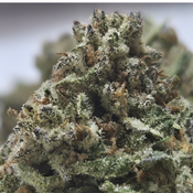 (NEW) Pineapple Marker  🔥$60/oz 2 Oz for $100🔥 