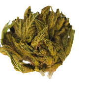 BC (AAA) SOUR DIESEL (SMALL BUDS) thumbnail 4