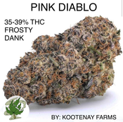 !! PINK DIABLO AAAAA+ 35-39% THC (2 OZ FOR $200) BY: KOOTENAY FARMS