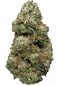 Alaskan Thunder Fuck - Sativa - 32.96% THC