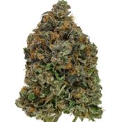 14G - Tom Ford Pink Kush⛽️😮‍💨Indica | 2Oz Bulk Deal for $240 thumbnail 2