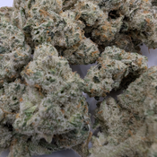 Cap Junkie thumbnail 3