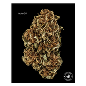 AA – JACKS GIRL – $40-OZ $70-2OZ