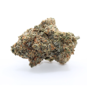 King Sherbert - AAAA