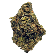 PURPLE MOBY DICK thumbnail 1