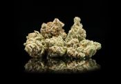 Durban Poison