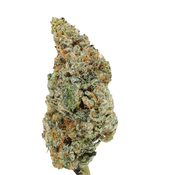 *ALERT NEW STRAIN* BC (AAAA+) THE HOG (Gassy, 27% THC)