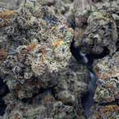 (NEW) Frosted Fruit Cake **$115oz**