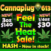 CannaPlug 613