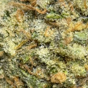 (28G) - Pie hoe 🥧🤠 Indica  - 2Oz Bulk Deal for $230 thumbnail 4