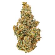 BC Organic Dancehall 14g