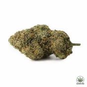 Amnesia Haze $5/Gram Special - 1g