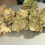 AAAA+ ISLAND PINK  - NEW DROP SALE - BC SUPER GAS thumbnail 4