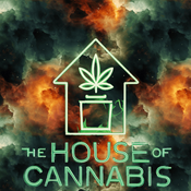 Pink Gas Chamber  thumbnail 1