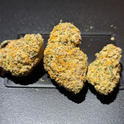 Pave (High Terps)