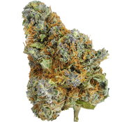 *ALERT NEW STRAIN* (AAA+) SUGAR COOKIES (SALE)