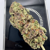 *NEW* Purple Gorilla 4A