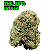 ROCK BUBBA (TOP SHELF QUADS)