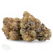 Biscotti (Indica Dominant Flower)