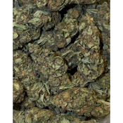 Cookies and Cream | 23-27% THC | HYBRID | $60 an oz | $85 for 2 Ozs | $140 for 4 ozs | $240 for 8 ozs | thumbnail 2