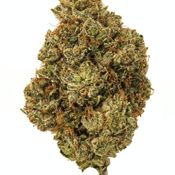 LA OG Kush