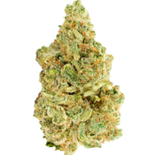 $200 FOR QP - Fire Jungle OG 